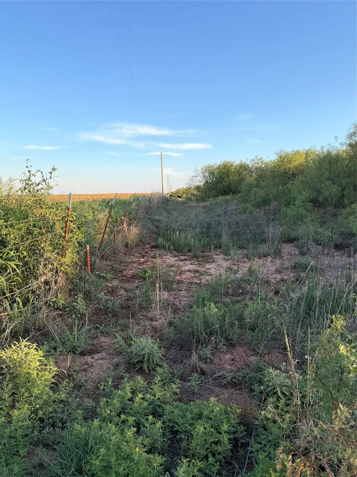 TBD Nowell Road, Quanah, TX 79252 - #1