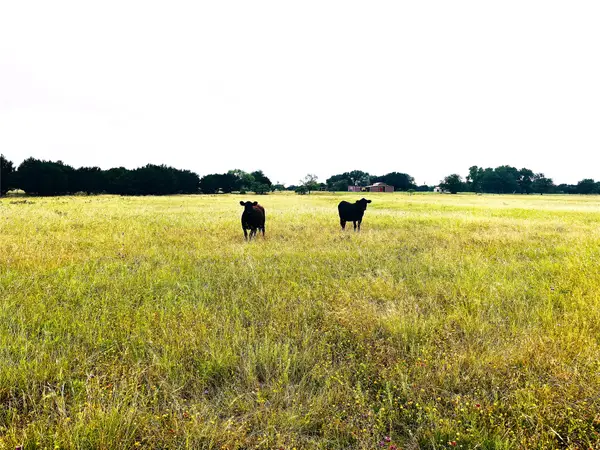 929 Cr 2357, Meridian, TX 76665