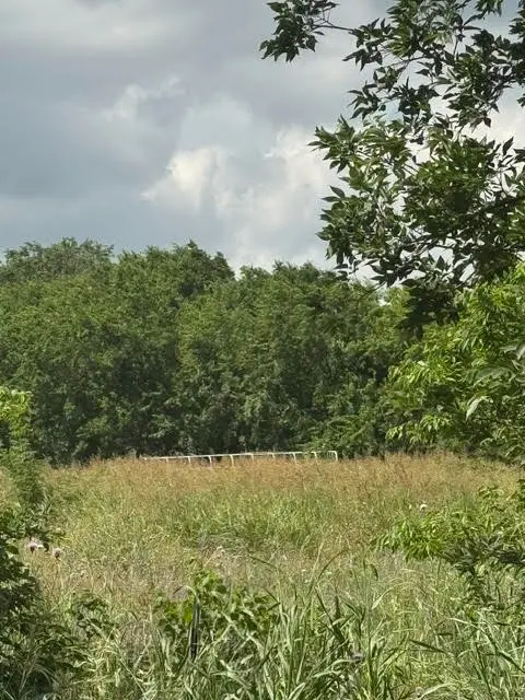 000 County Road 4219, Decatur, TX 76234 - #1