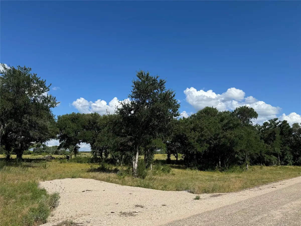 Lot 26 Canyon Ranch Road, Palo Pinto, TX 76484 - #1
