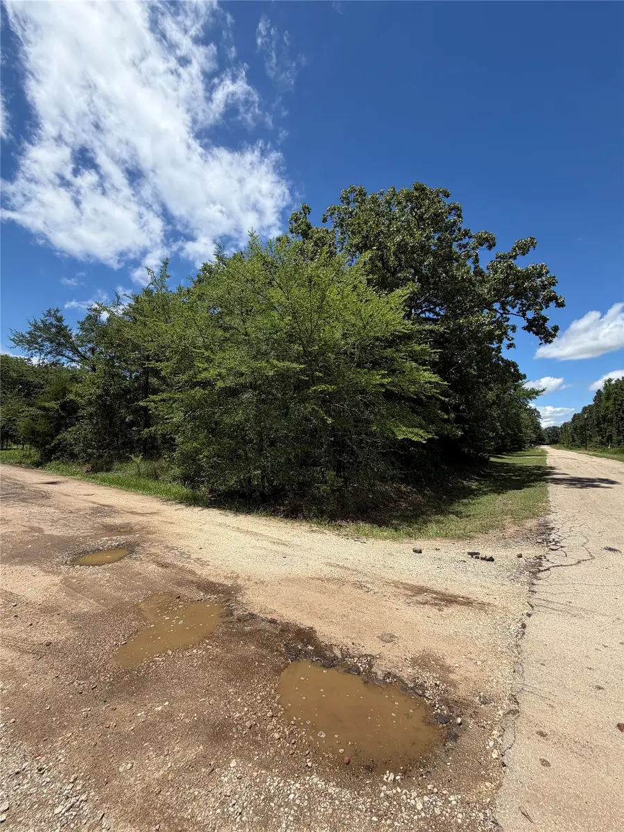 150 Navarro Drive, Mabank, TX 75156 - #2