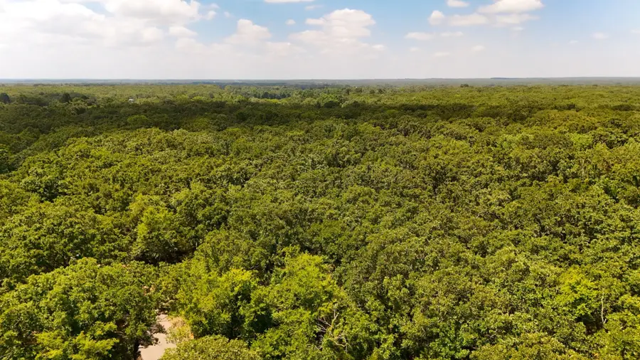 TBD County Road 1695, Alba, TX 75410 - #2