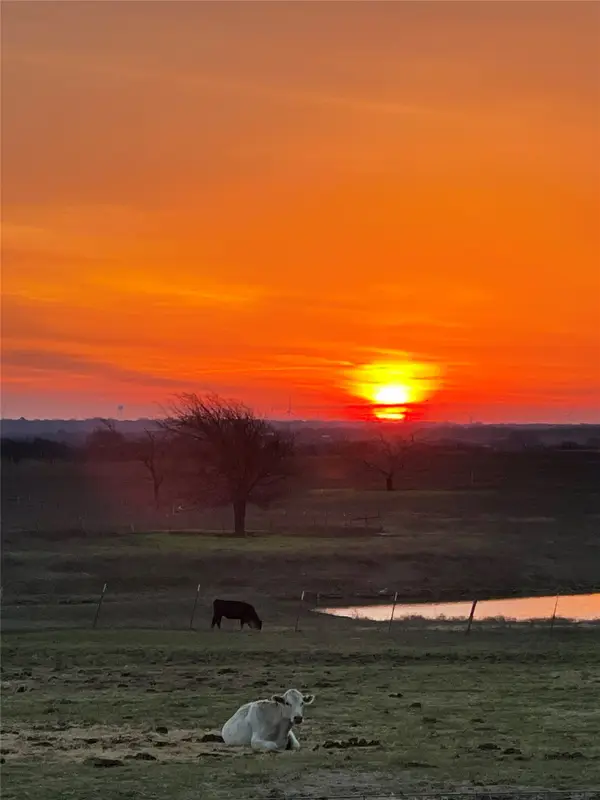 1044 Hcr 3241, Hubbard, TX 76648