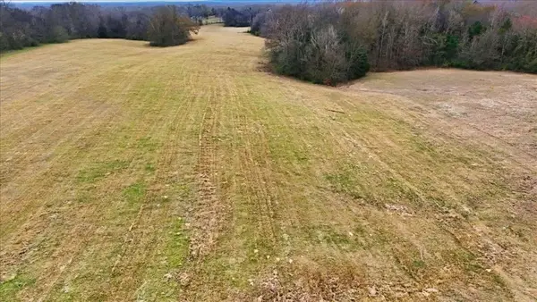 TBD1 Loop 564, Mineola, TX 75773