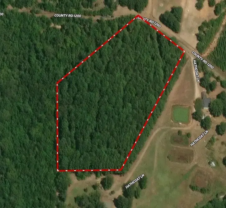 000 Cr 1200, Daingerfield, TX 75686 - #1