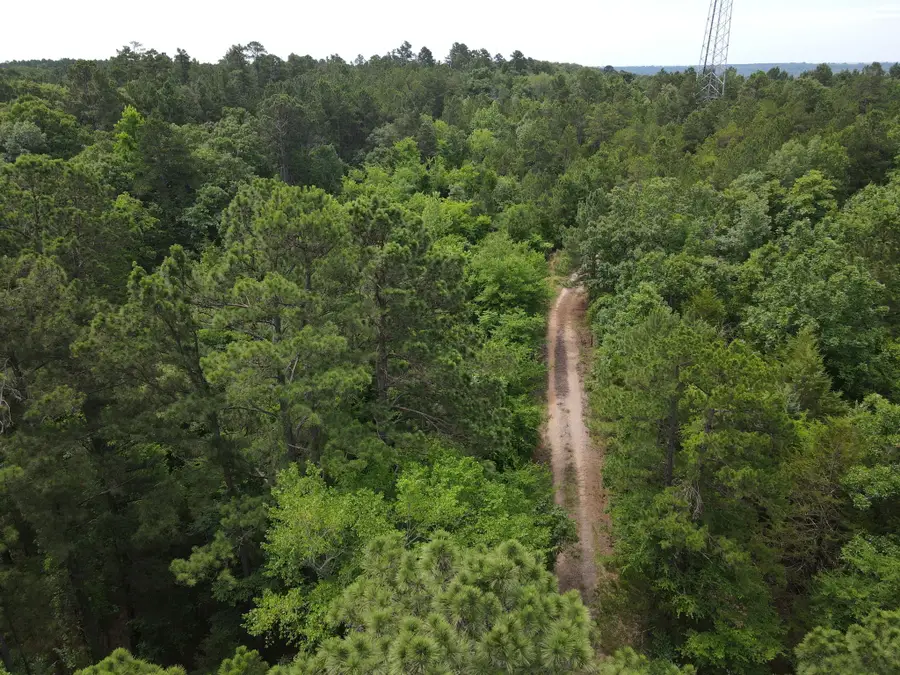 TBD 16 +/- AC Vz County Road 4814, Ben Wheeler, TX 75754 - #3