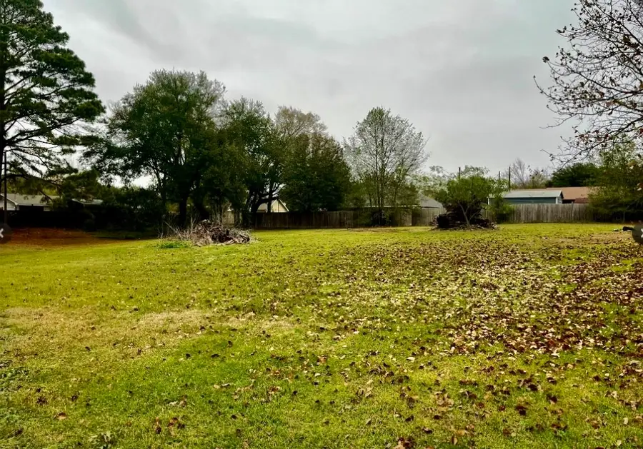 1410 Center Street, Grand Saline, TX 75140 - #3