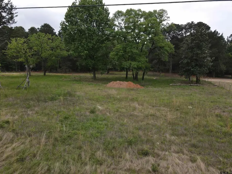 13041 County Road 4122, Lindale, TX 75771 - #2