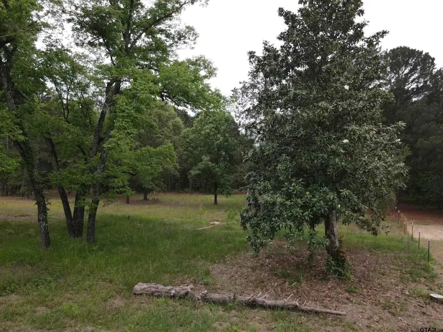 13041 County Road 4122, Lindale, TX 75771 - #3