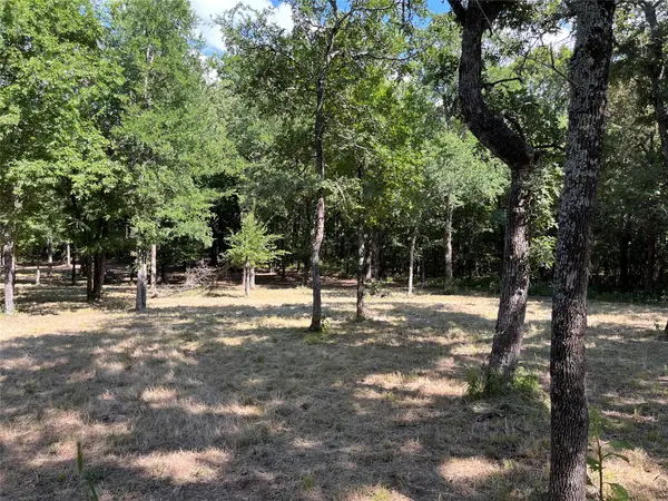 381 Ranchview Court, Bowie, TX 76230