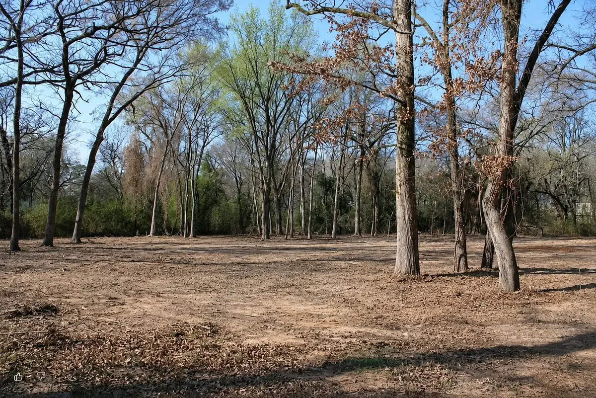 TBD Lisa Lane, Gun Barrel City, TX 75156 - #1