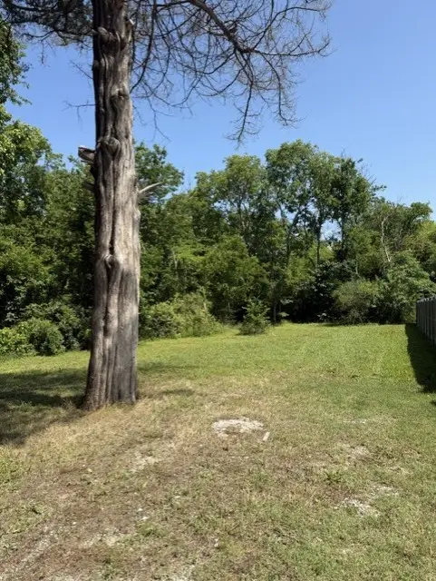931 E Jefferson Street, Van Alstyne, TX 75495 - #2