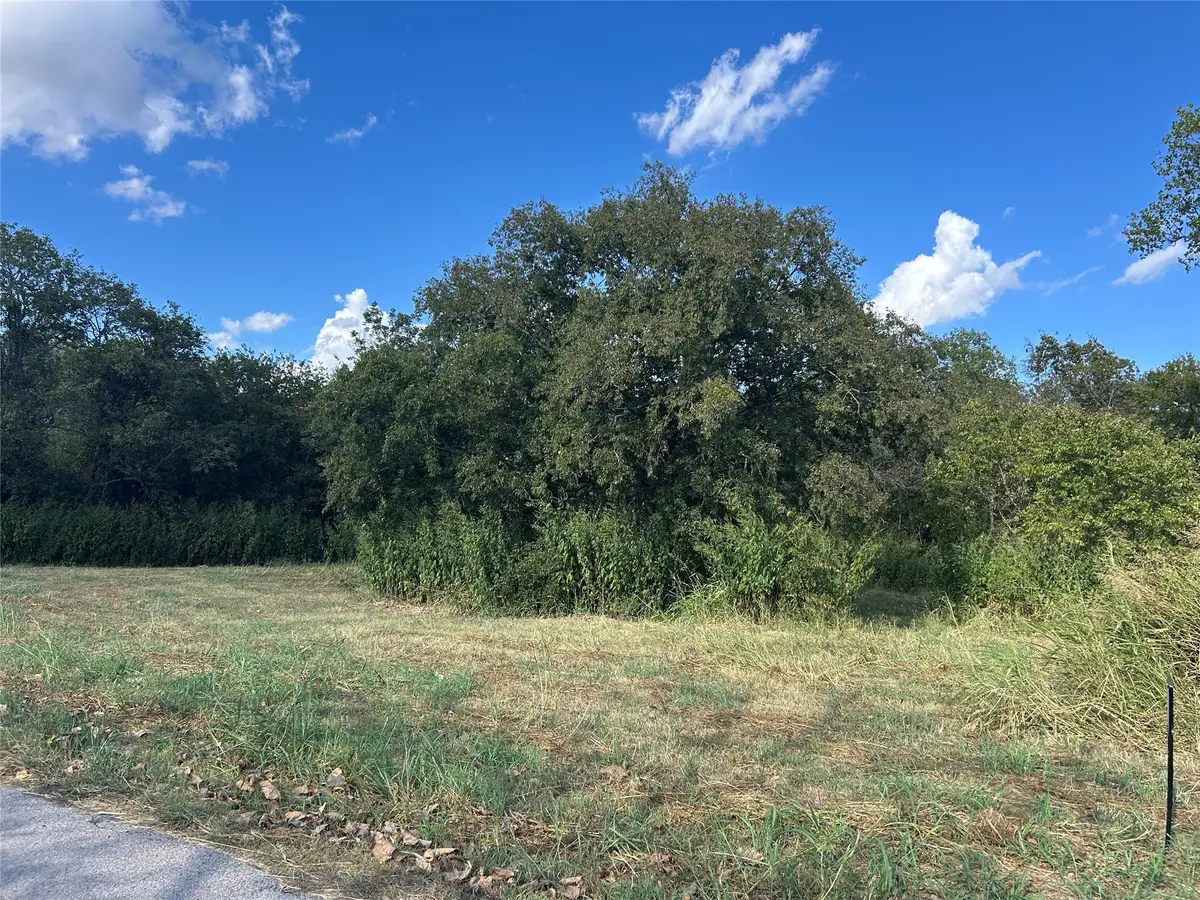 301 Inez Hardy Way, Grandview, TX 76050 - #1