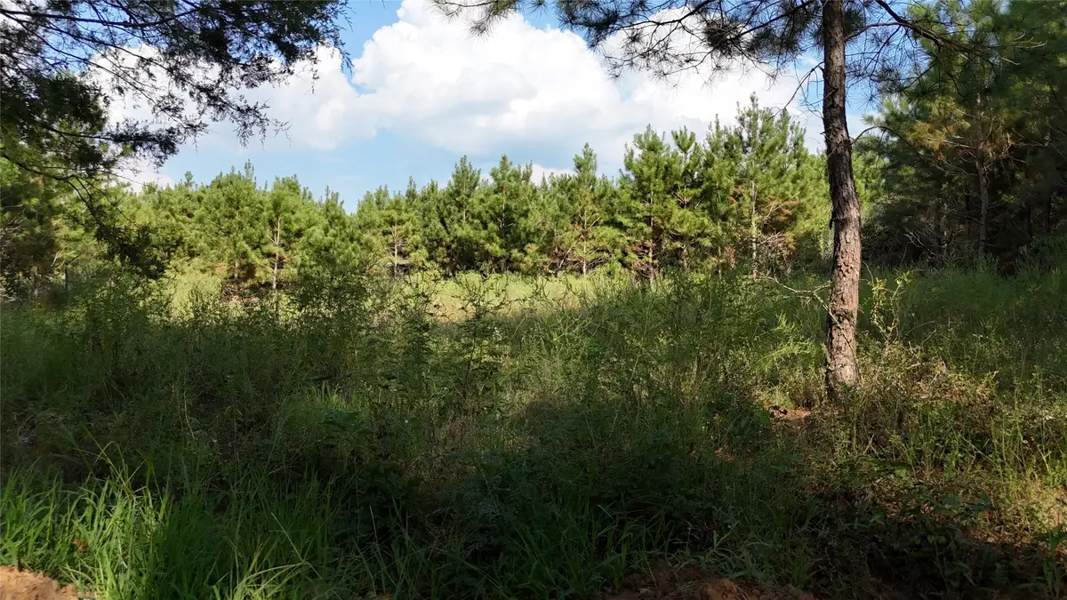 TBD County Road 3121, Long Branch, TX 75669 - #1