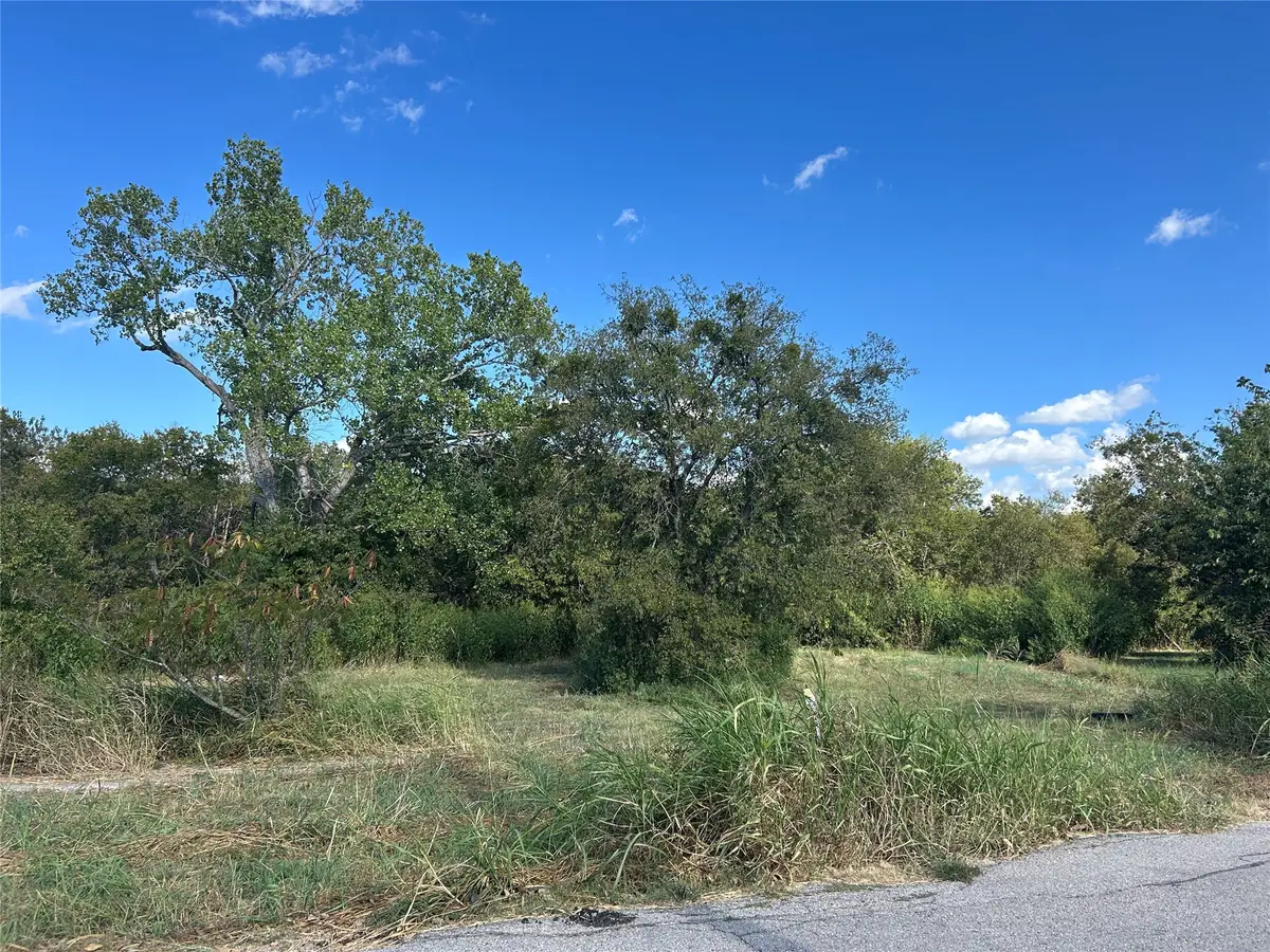 303 Inez Hardy Way, Grandview, TX 76050 - #1