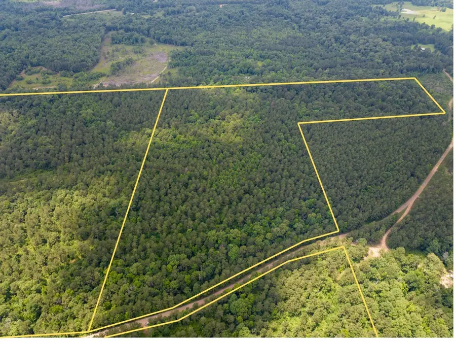 1 Posey Webb Camp Road, Jonesville, LA 71343 - #2