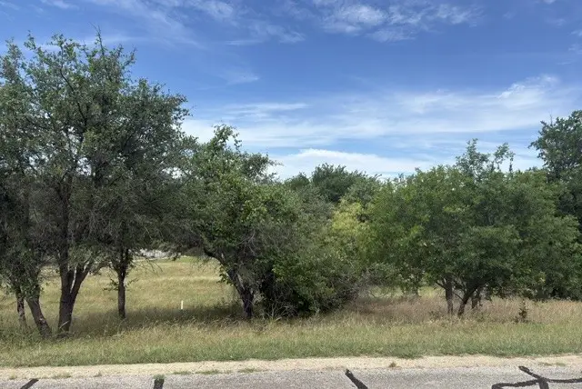 42024 Preston Trail, Whitney, TX 76692 - #2