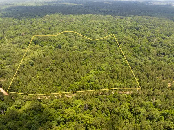 3 Posey Webb Camp Road, Sicily Island, LA 71343