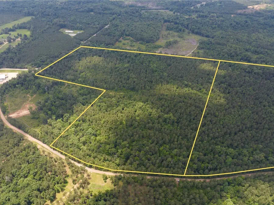 3 Posey Webb Camp Road, Jonesville, LA 71343 - #3