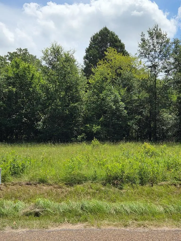 166 Deer Run Road, Mabank, TX 75156 - #1