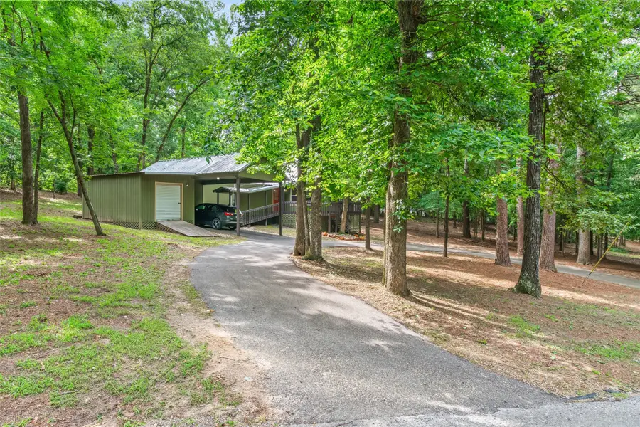 178 Butternut Glen, Holly Lake Ranch, TX 75765 - #3