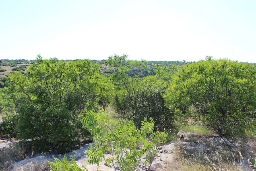 163 Baltrusol Drive, Graford, TX 76449 - #2