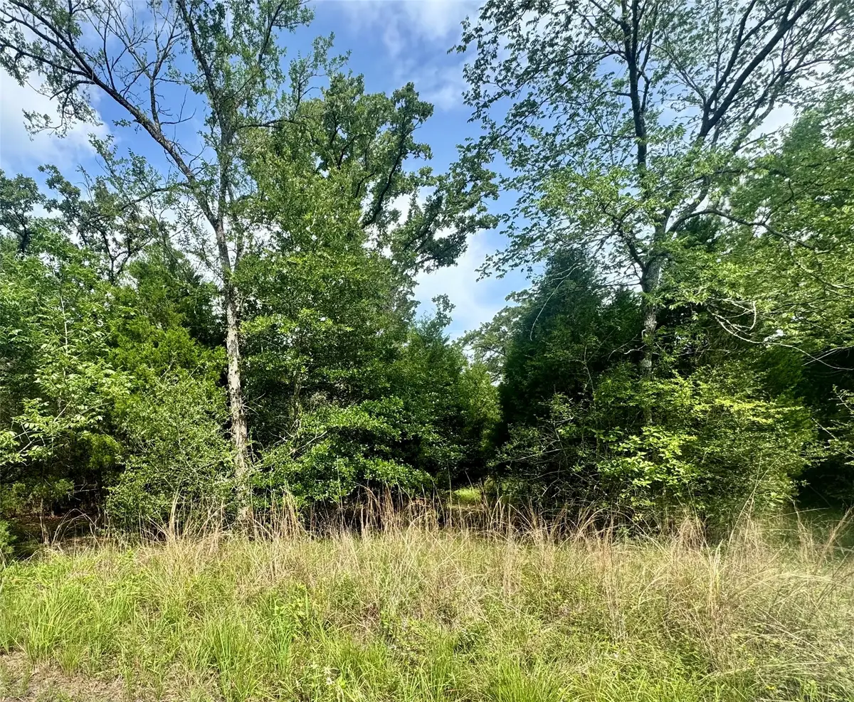 lot 2111 Butch Cassidy Drive, Log Cabin, TX 75148 - #1