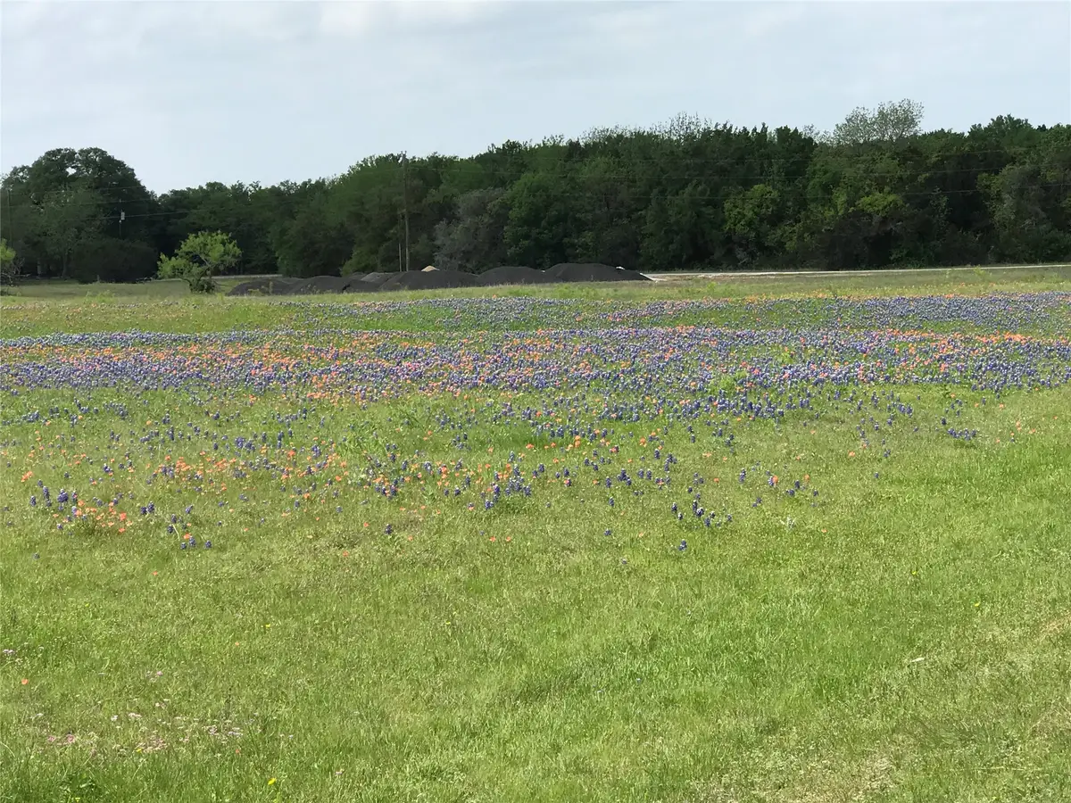 1014 White Bluff Drive, Whitney, TX 76692 - #1