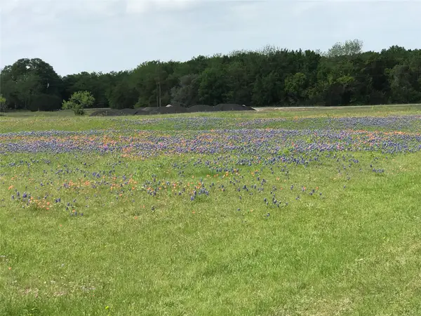 1014 White Bluff Drive, Whitney, TX 76692