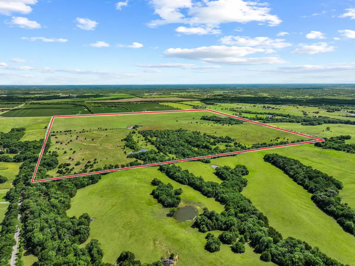 0000 Fm 697, Whitewright, TX 75491 - #1