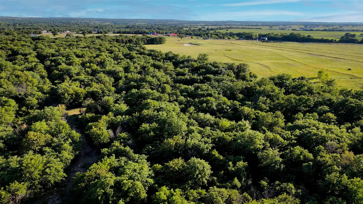 181000 Farm To Market 920, Poolville, TX 76487 - #1