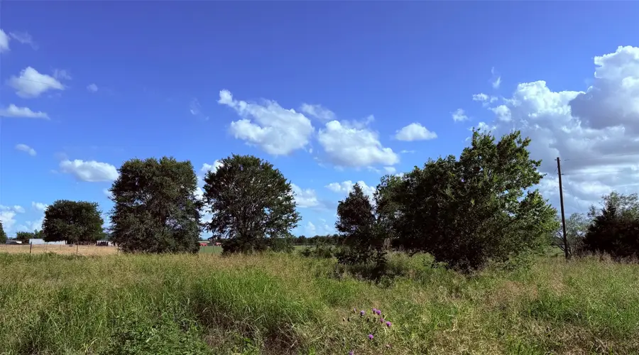 000 Fm 636, Kerens, TX 75144 - #2