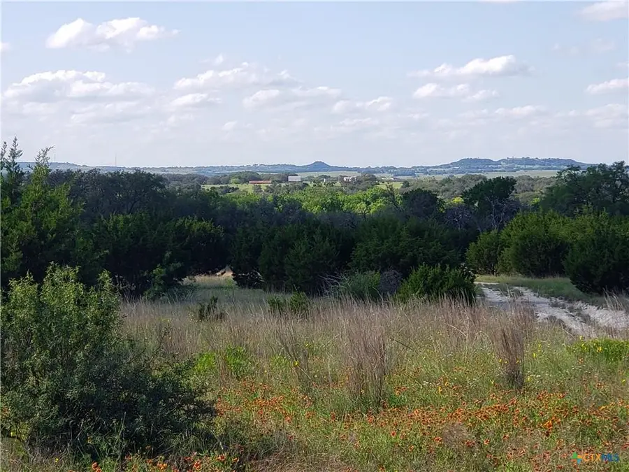 TBD County Road 1255 500 Acres, Lampasas, TX 76550 - #3
