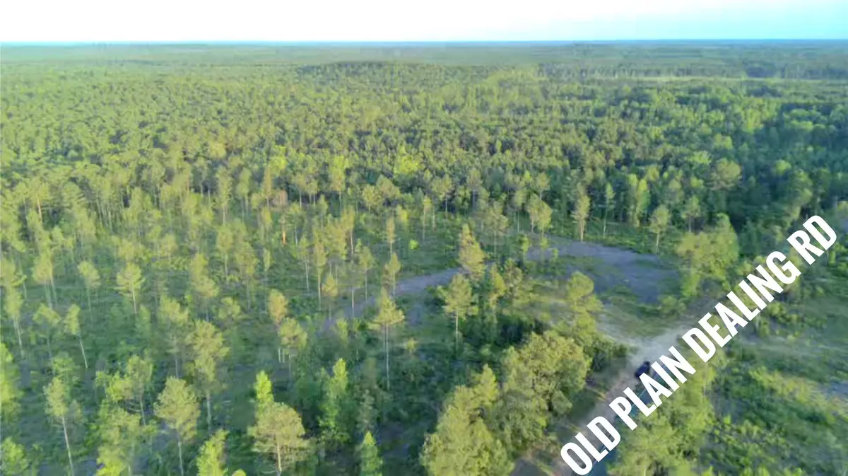 0 Old Plain Dealing Road, Plain Dealing, LA 71064 - #1