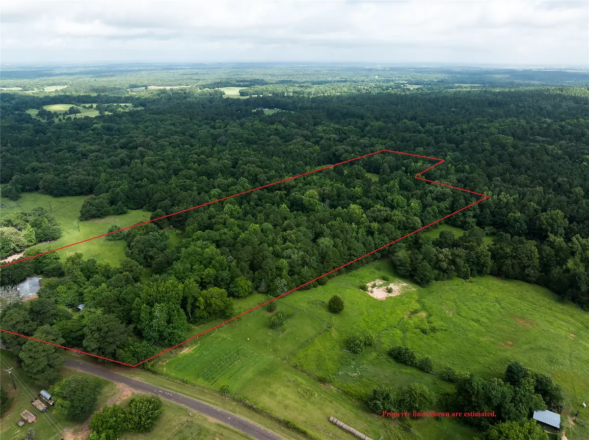 519 An County Road 450, Palestine, TX 75803 - #1