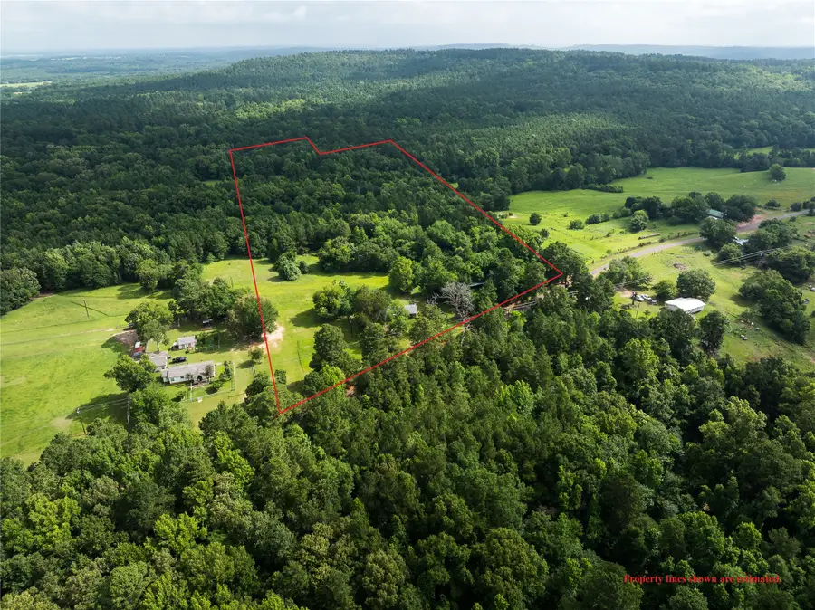 519 An County Road 450, Palestine, TX 75803 - #3