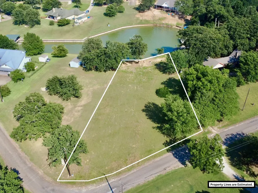 5001 Arrowhead Point, Streetman, TX 75859 - #3