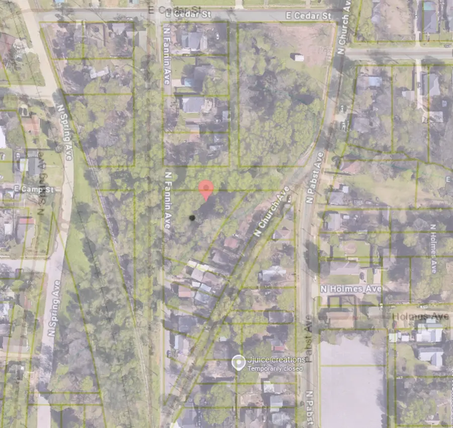 1315 N Fannin Avenue, Tyler, TX 75702 - #2