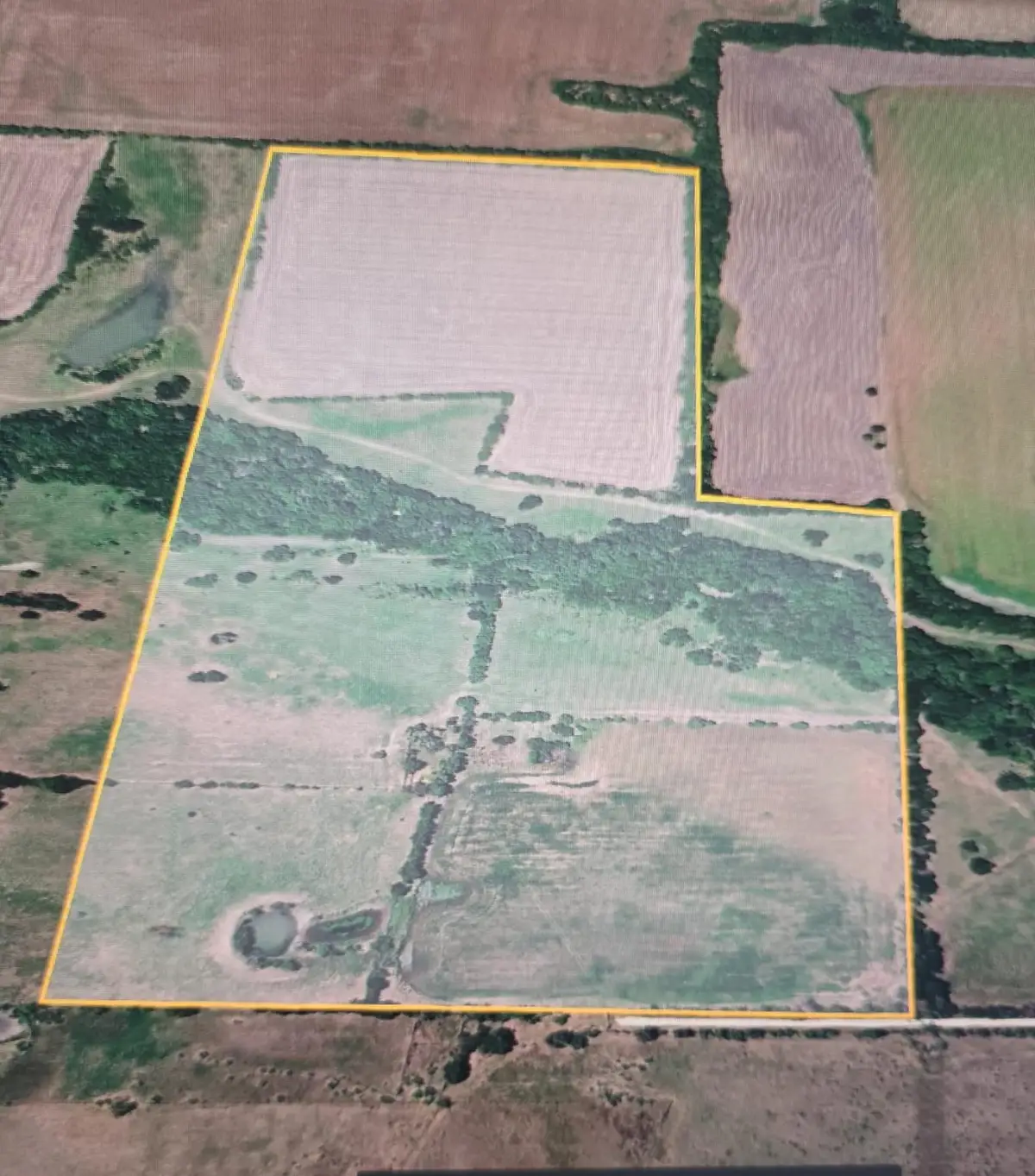 TBD Lcr 320, Coolidge, TX 76635 - #1