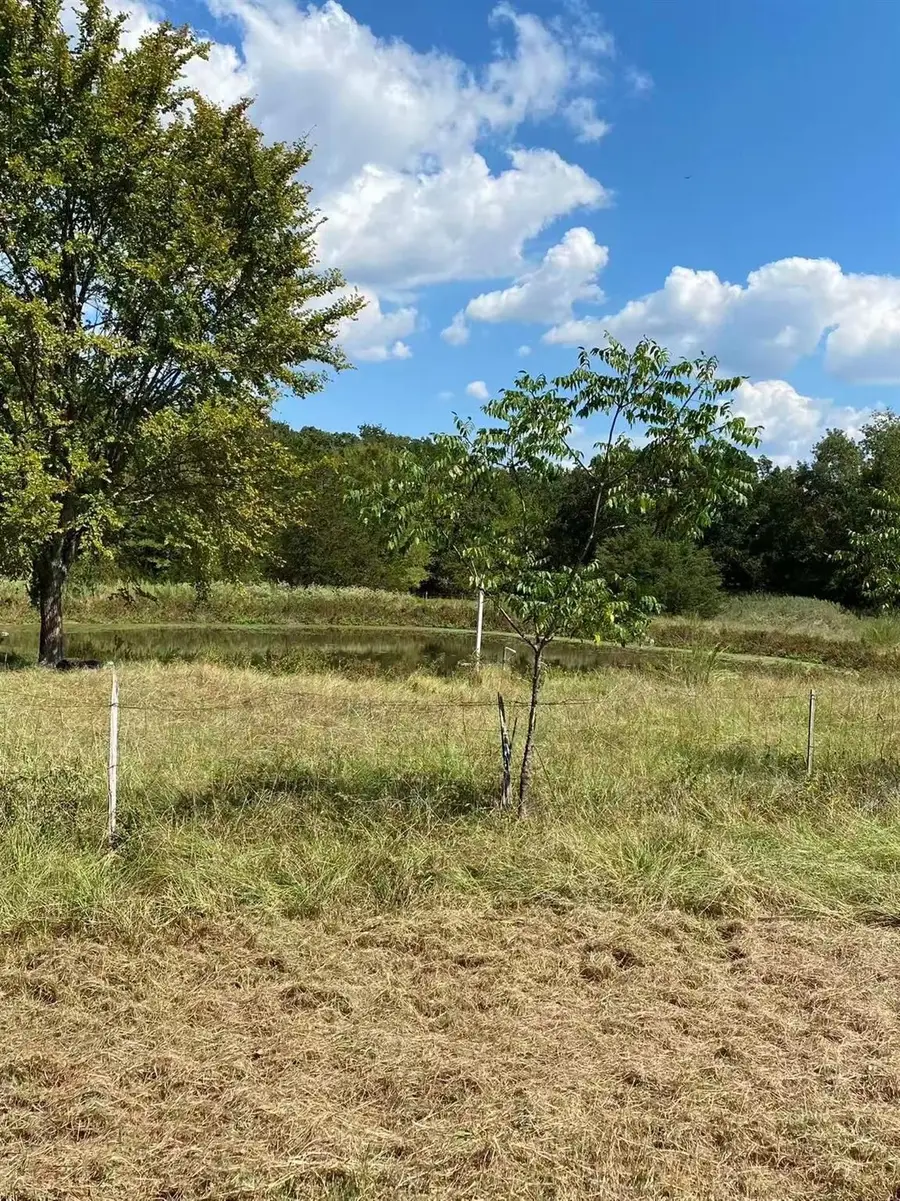 1000 Sundance Drive, West Tawakoni, TX 75474 - #3