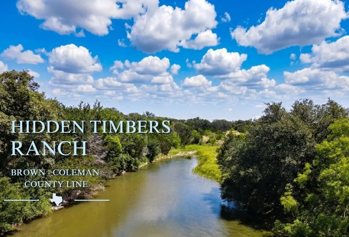 12493 County Road 222, Brookesmith, TX 76827 - #1