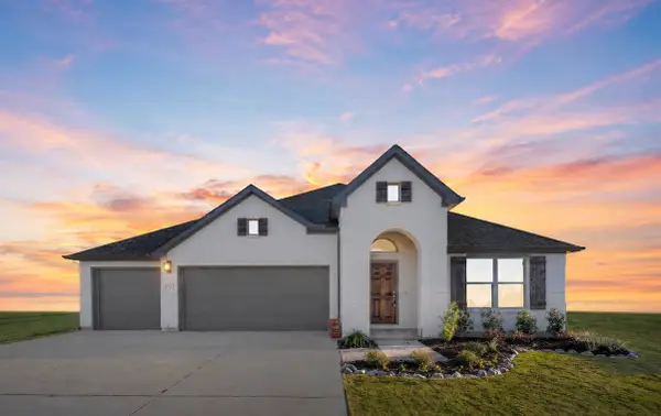 328 Skeen Peak Drive, Springtown, TX 76082