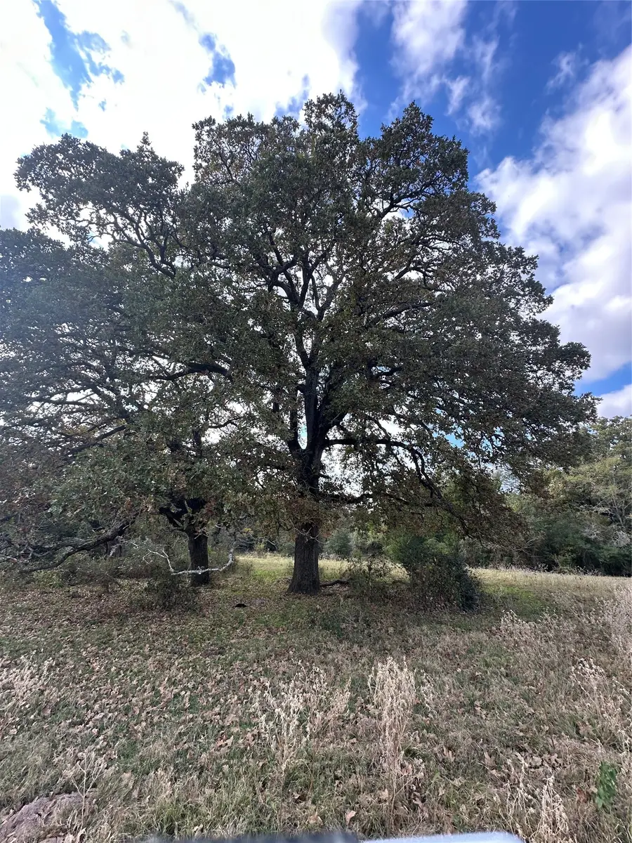 TBD Lcr 758, Thornton, TX 76687 - #3