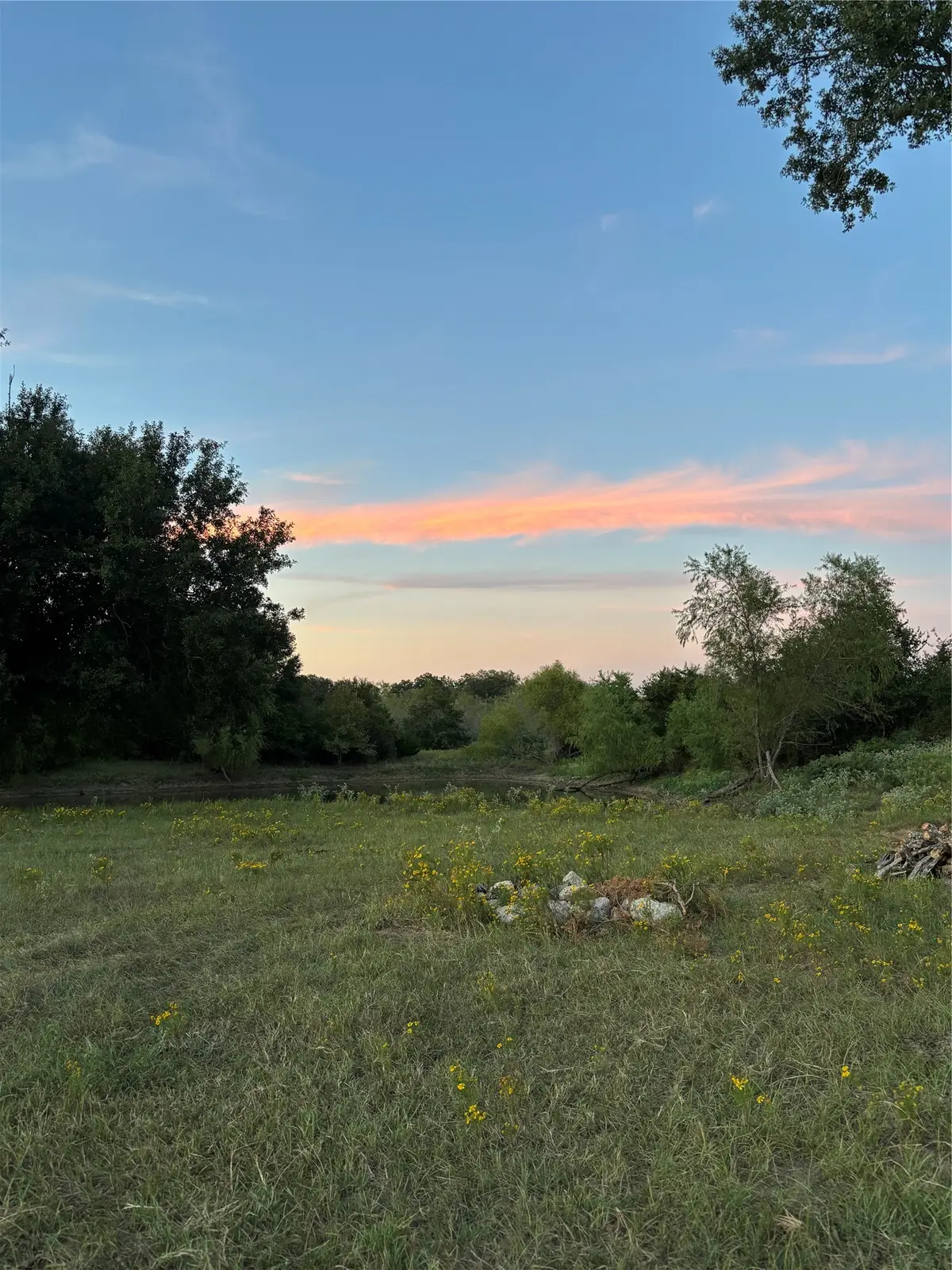 TBD Lcr 786, Thornton, TX 76687 - #1