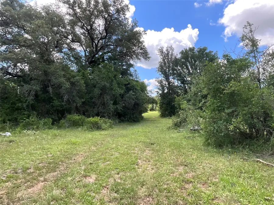 TBD W Fm 2486, Gustine, TX 76455 - #2