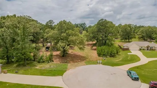 18304 Timber Oaks Drive, Hideaway, TX 75771 - #2