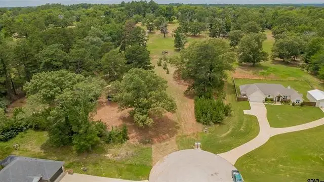 18304 Timber Oaks Drive, Hideaway, TX 75771 - #3