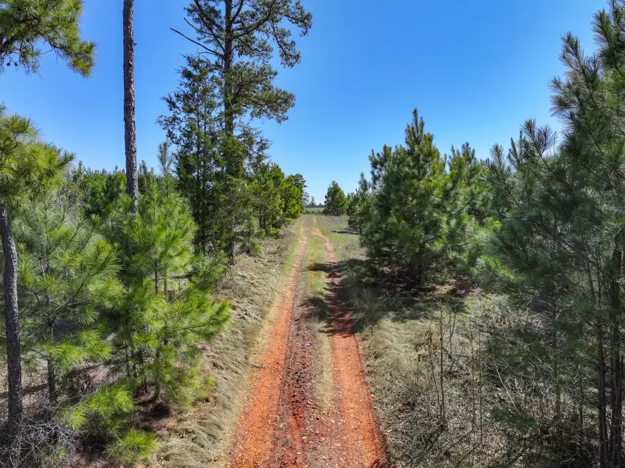 421 Cr 3875, Mineola, TX 75773 - #3