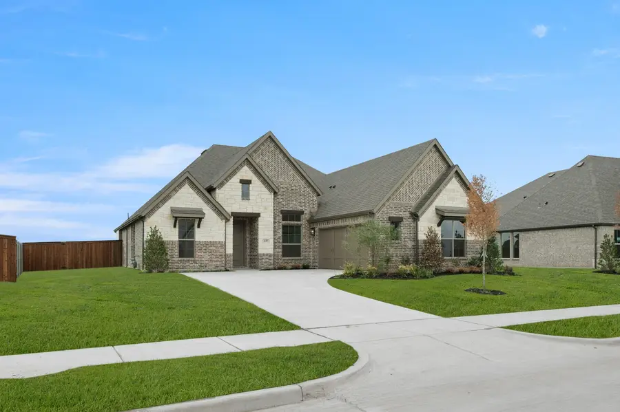 237 Pine Leaf Trail, Waxahachie, TX 75165 - #2