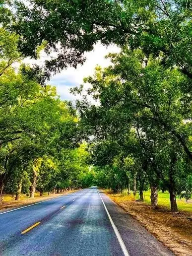 2621 Silver Leaf Lane, Anna, TX 75409